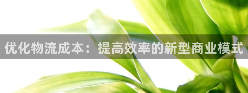 多多28充值不处理怎么办：优化物流成