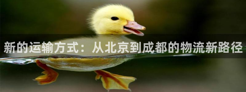 多多28平台注册：新的运输方式：从北