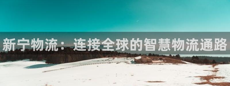 多多28官网平台下载：新宁物流：连接