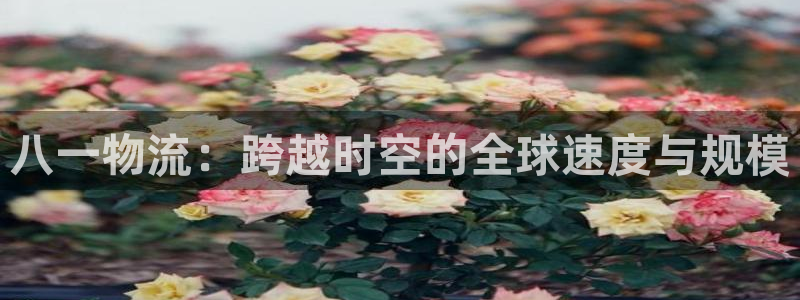 多多28客服一直不回消息怎么办：八一