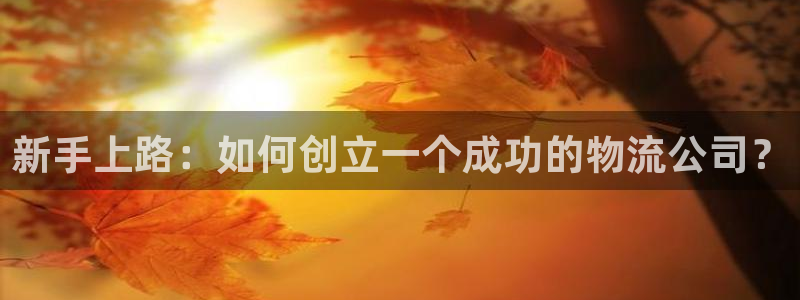 多多28自行车图片：新手上路：如何创