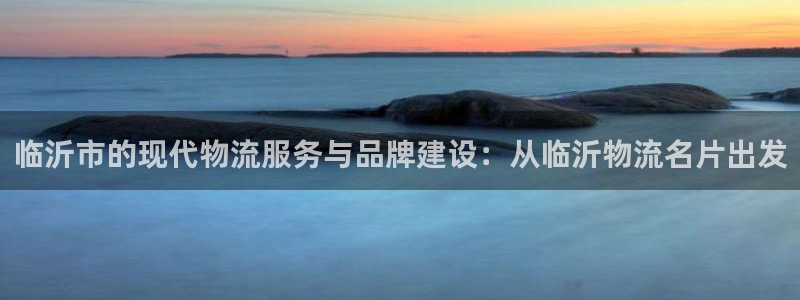 多多28昵称：临沂市的现代物流服务与