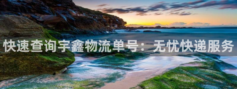 多多28充值不到账怎么办：快速查询宇