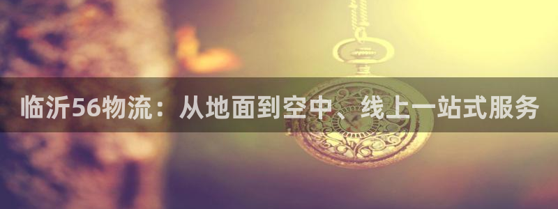 多多28返水怎么算的：临沂56物流：