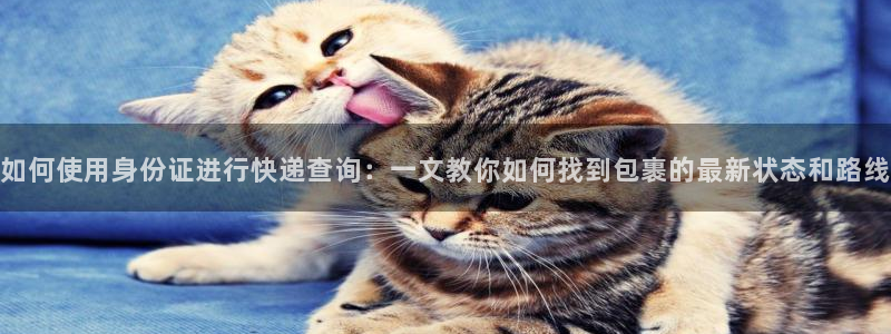 多多28官网入口pc29官网版：如何