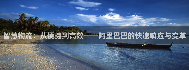 多多28代理落网：智慧物流：从便捷到
