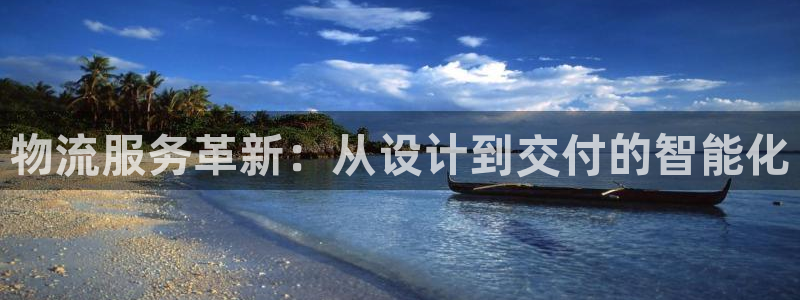 多多28p扣款什么意思：物流服务革新：从设计到交付的智能化