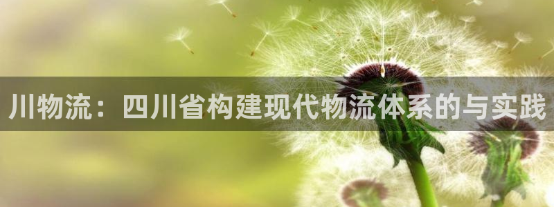 多多28加拿大开奖：川物流：四川省构