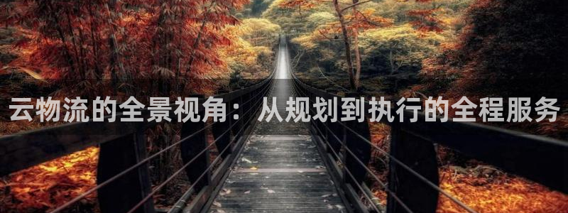 多多28可以退款吗：云物流的全景视角