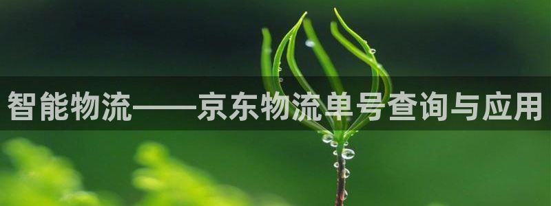 多多28技巧：智能物流——京东物流单