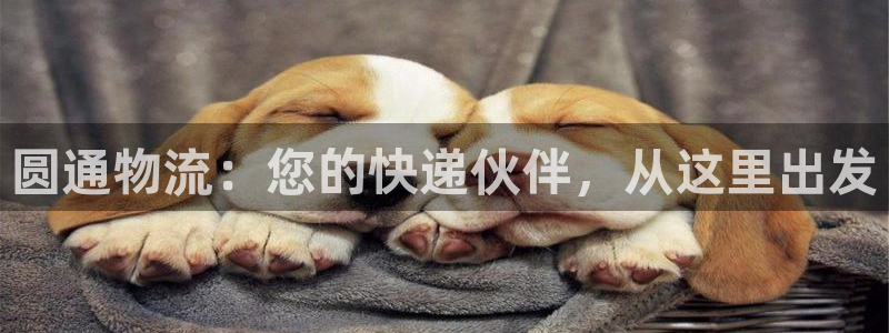 多多28是正规平台吗：圆通物流：您的