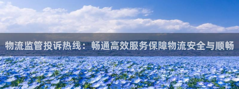 多多28官网下载链接怎么弄：物流监管投诉热线：畅通高效服务保