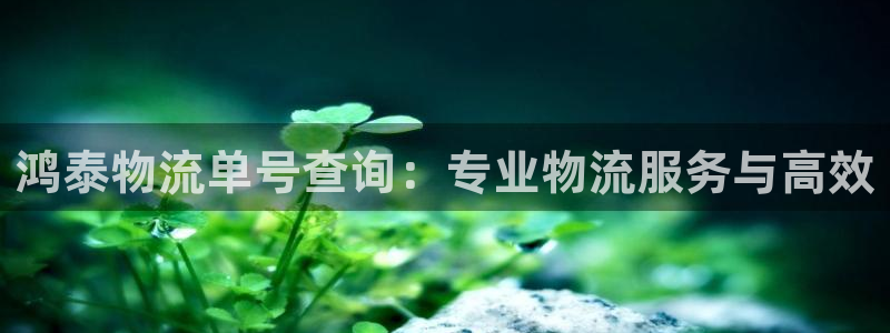 多多28下载二维码：鸿泰物流单号查询