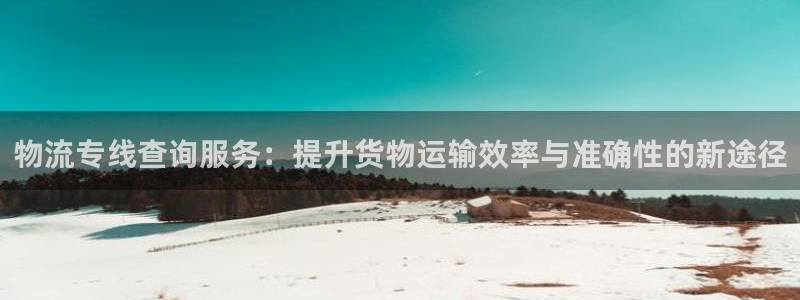 多多28旗下：物流专线查询服务：提升