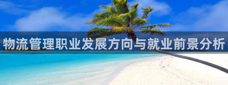 多多28现在狂杀：物流管理职业发展方