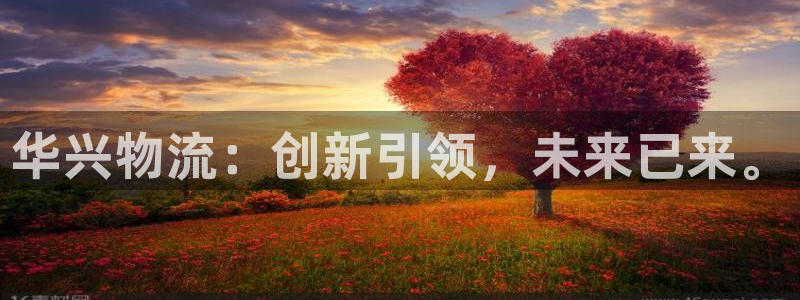 多多28官网下载加拿大：华兴物流：创