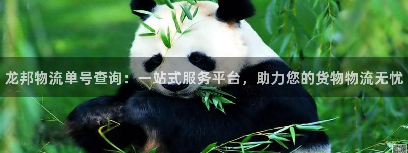多多28机器人是什么软件：龙邦物流单