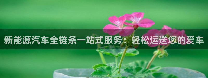 多多28平台注册：新能源汽车全链条一