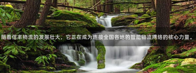 多多28能退款吗：随着信丰物流的发展