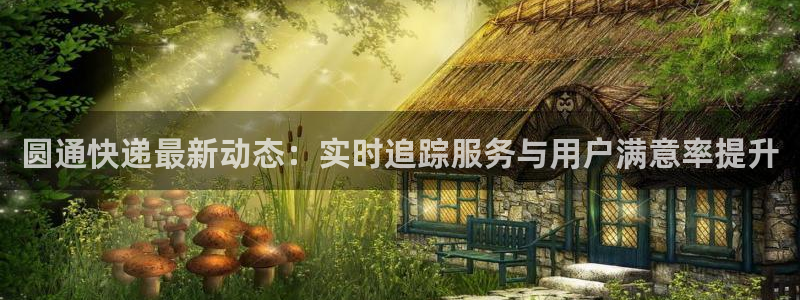 多多28加拿大预测：圆通快递最新动态
