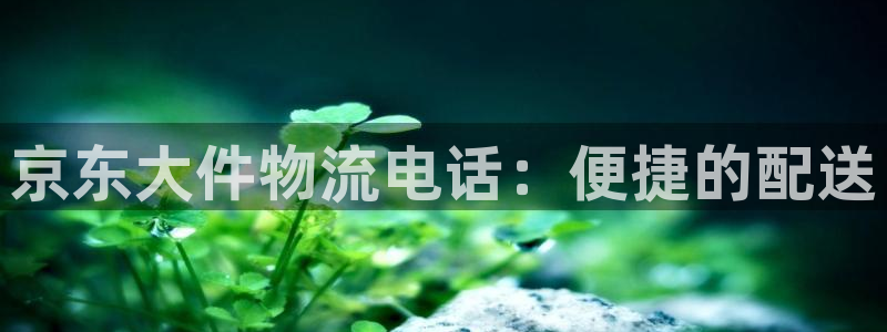 多多28登录网：京东大件物流电话：便