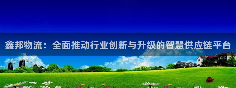 多多28分分28预测：鑫邦物流：全面