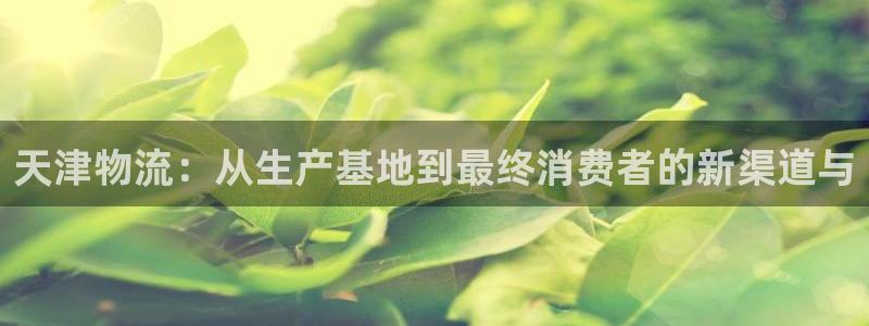多多28官方网站预测：天津物流：从生