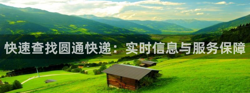 多多28怎么注册账号：快速查找圆通快