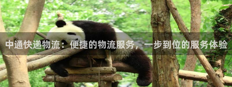 多多28黑钱：中通快递物流：便捷的物