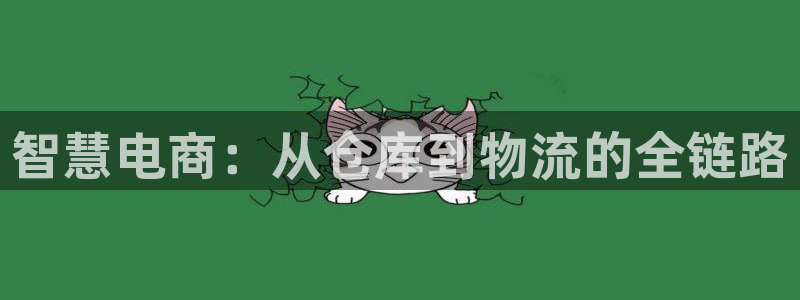 多多28官网下载：智慧电商：从仓库到