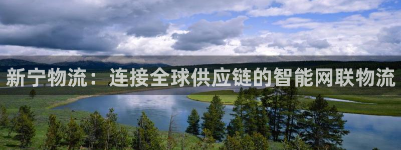 多多28是什么软件：新宁物流：连接全