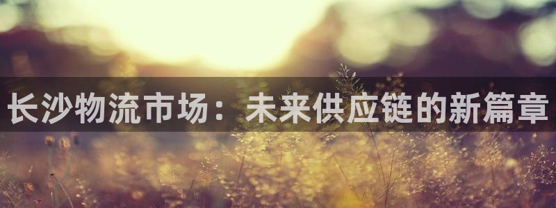 多多28注册入口与教程：长沙物流市场