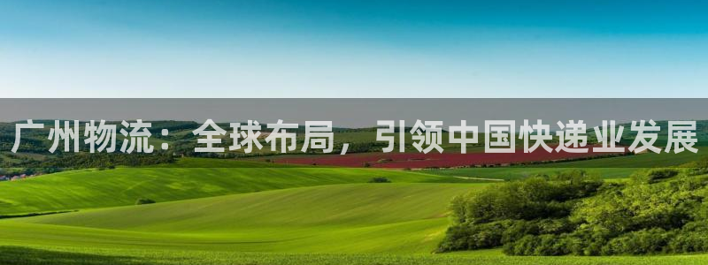 多多28官网下载链接是什么网站：广州物流：全球布局，引领中国